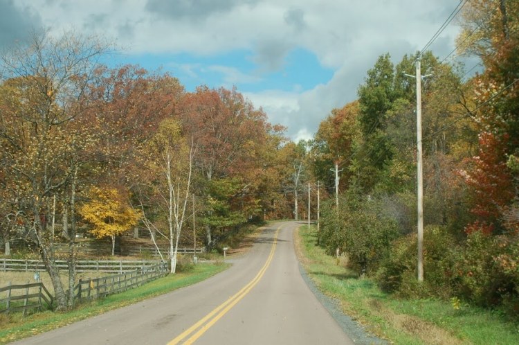 Turkey Neck Road in Fall